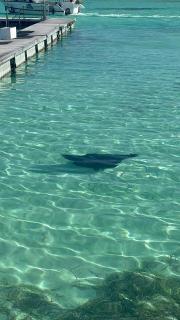 Tropical Apt Near Bibijagua Beach, Pool, 6 Guests - 2