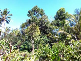 Rusma House Ubud - Ubud - 2