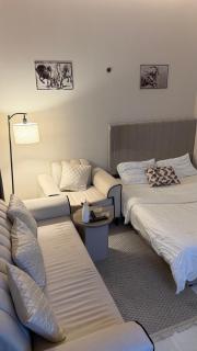 استديو هادئ ودخول ذاتي - 3