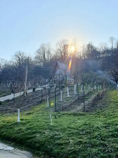 Căsuța de pe Vale - 8