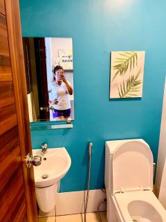 Horizons 101 Premium Studio - 8