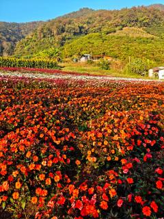 Proud Room &wifi 2 - 7