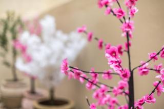 Lycabettus Urban Garden Apartment - 0