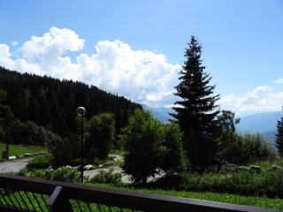 Résidence Versant Sud - Appartement 2 pièces 7 personnes à Arc 1600 dans une résidence proche des pistes et des commerces MAE-1874 - Arc 1600 - 7