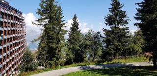 Résidence Lauzieres - Studio 5 personnes skis aux pieds et proche des commerces dans le village du Charvet à Arc 1800 MAE-1906 - 7