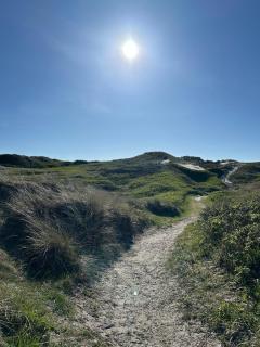 Newly renovated spa cottage 300 m from the North Sea - 1
