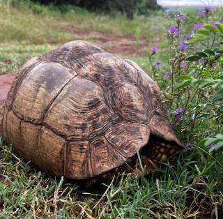 Deltrade Wedding and Camp - 7