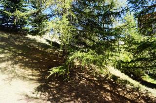 Résidence Rond Point I - Studio 4 personnes MAE-1504 - 2