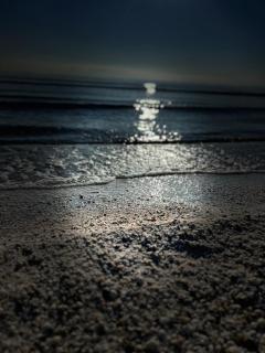 Apartment 2 camere - 8