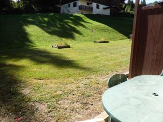 Résidence Ecrin Des Glaciers Daim - Ecrin des Glaciers D31 MAE-5313 - 1