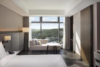 DoubleTree By Hilton Seoul Pangyo - 5