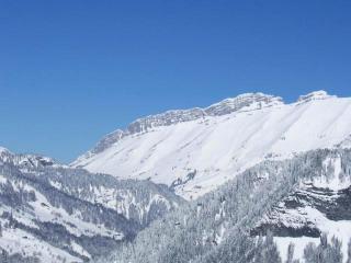 Résidence Les Alpages - Studio skis aux pieds avec une vue exceptionnelle MAE-3284 - 1