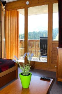 Résidence Les Toits Du Devoluy - APPARTEMENT 6 PERSONNES BALCON EXPO SUD MAE-8604 - 8