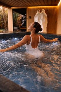 TauberChalet I Private Spa mit Sauna & Whirlpool I Natur I 10 Min zur Altstadt - 0