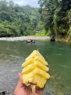 Ethical Trekking Sumatra-Book your trekking activity with us- the price includes pick-up and drop-off from the airport- meals- and accommodation - 9