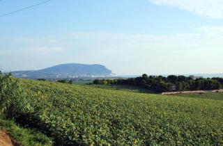 Sea Lovers Italy Apartment - 7