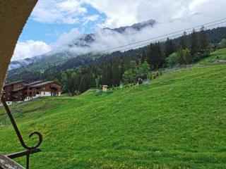 Résidence Lauzes - Les Lauzes 48 - Joli 2 pièces, vue pistes, classé 3 étoiles MAE-4944 - Valmorel - 1