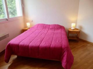 Résidence Ayre - Appartement 6 couchages proche du centre de Barèges MAE-8624 - 2