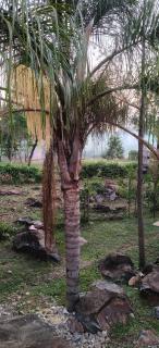 Kanyawegi Dala Resoert - 4