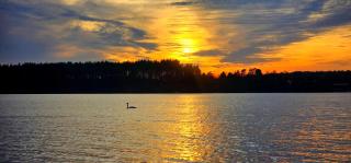 Całoroczny dom "Borem Jeziorem" nad Jeziorem Gwiazdy, Ostoja Bukowo, Borowy Młyn, Kaszuby, region Gochy - 1