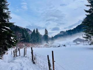 Newly renovated chalet with mountain views - 6