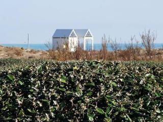 Résidence Copacabana - Coquet appartement deux pièces avec terrasse à Port Leucate. Réf: 1COP_101A MAE-6824 - 8