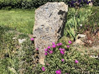 Résidence D22-ile Grande - Maison de pêcheur dans un jardin sur la mer MAE-3464 - 1