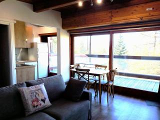 Résidence Deux Tetes - Très agréable 2 pièces coin montagne récemment rénové, dans un quartier calme à 50 mètres des pistes MAE-6364 - 3