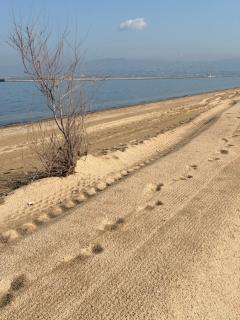 M&L apartment Large - 8