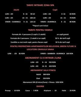 Apartament Erika Premium Sinaia - 8