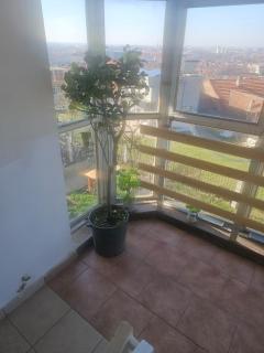 SMB home PANORAMA - 3