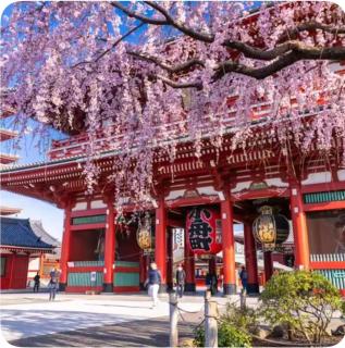 入谷駅近い民泊アイホーム - 2