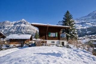 Cozy traditional Chalet, Stunning Mountain Views - 5