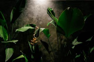 Lumansa - A Luxury Private Villa in Hirikatiya - 8