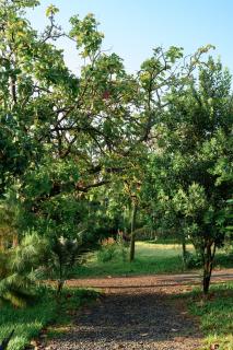 Dancasa Horse Farm's Twilight Bungalow - 4