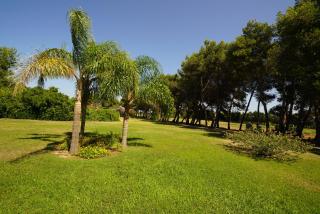 Villa Sant'Andrea - 1