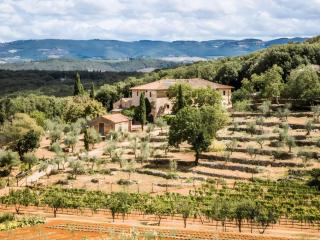 Ebbio Villa and organic farm - 0