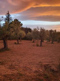 Country House Ciliegia Rossa - 1