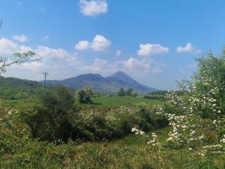 Entire home in Westport Ireland - 6