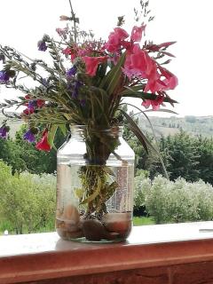 Country House Ciliegia Rossa - 5