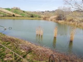 Country House Ciliegia Rossa - 6