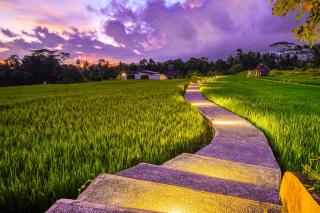 2 BR Private Villa with Open View of Rice Fields - 2