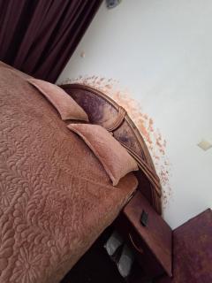 Hotel Turist Beharca - Beharca - 7