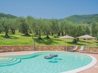 Casa degli Olivi by Tuscanhouses with Pool, Airco, garden - 0