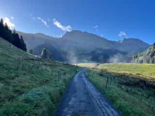 Chalet de charme aux Paccots en famille ! - Châtel-Saint-Denis - 5