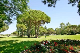 Villegiales Tee2 - Studio sur le lac du Ponant MAE-1204 - 1