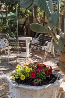 Appartamento Azzurro Villa Ada Punta Prosciutto - 4