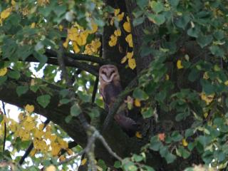 Hof Elsbusch - Nachhaltig und Naturnah - 1