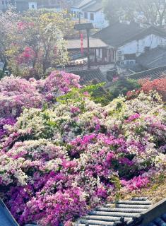 Dabaizhijia Executive Apartment Bantian Huawei ShenZhen North Branch - 3