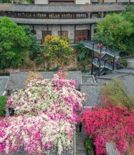 Dabaizhijia Executive Apartment Bantian Huawei ShenZhen North Branch - 6